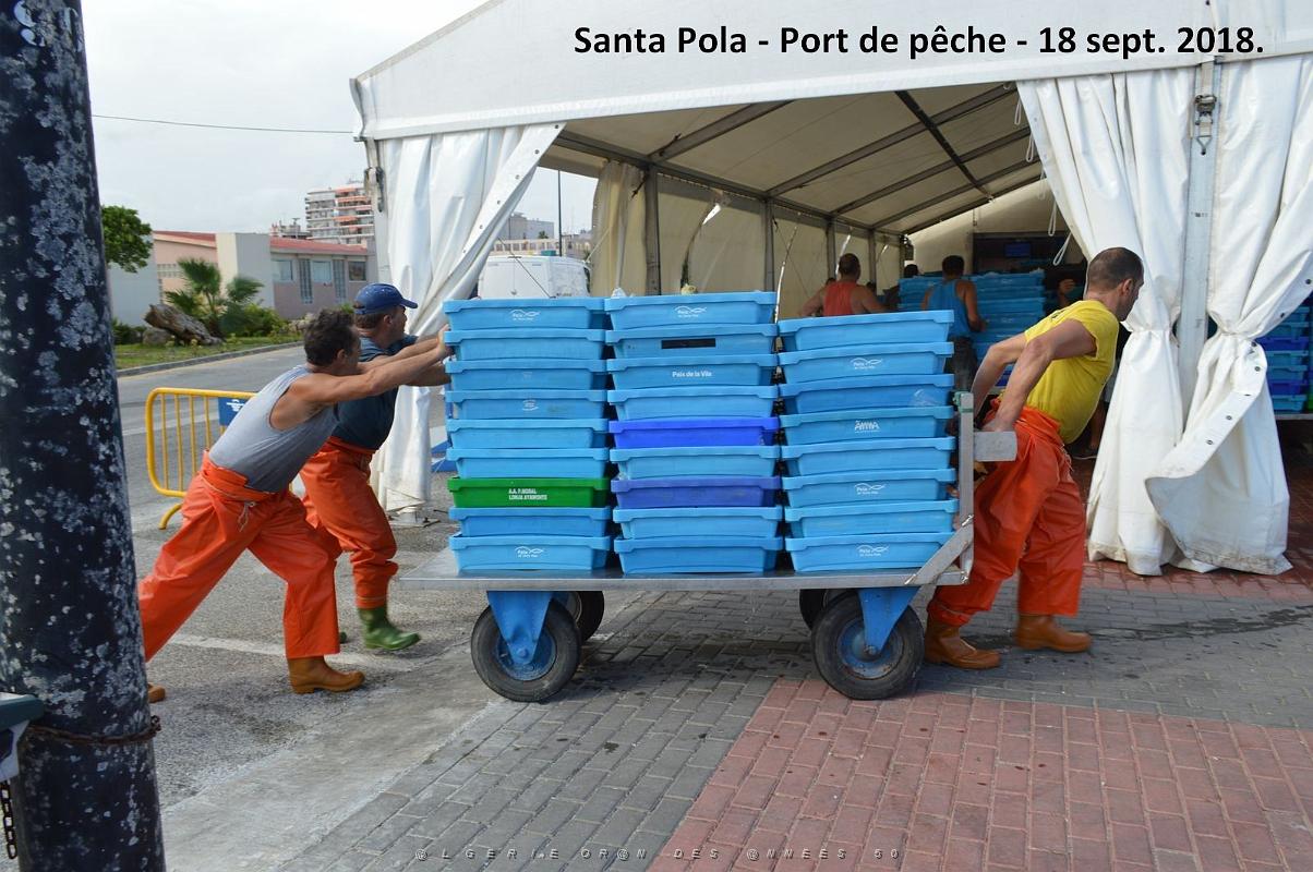 11 SANTA POLA PORT DE PECHE (58).JPG